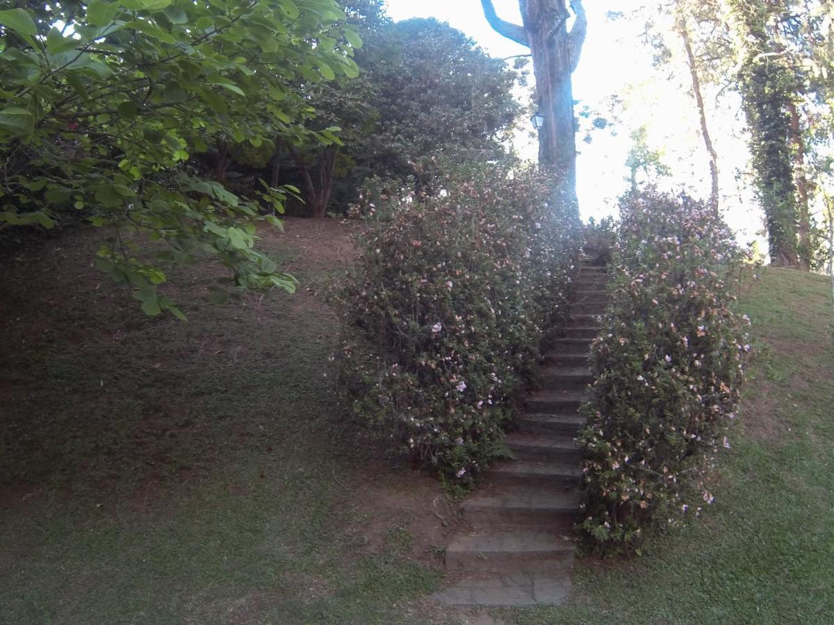 Villa Vintage Campos - Piscina E Opcoes De Suites Com Hidromassagem Campos do Jordão الغرفة الصورة